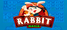 Come meet this ninja rabbit! Improve your martial skills and access many fun bonuses! In this game you have up to 4 cards of 15 numbers to play. What's more, you'll have up to 10 extra balls to increase your prize!<br/>
Good luck!